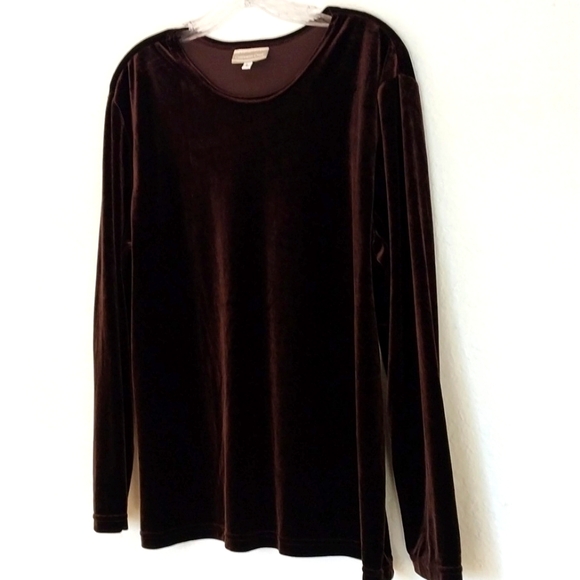 COLDWATER CREEK Brown Velvet Tunic Crew Neck Long Sleeve Top Size Large - Picture 7 of 16